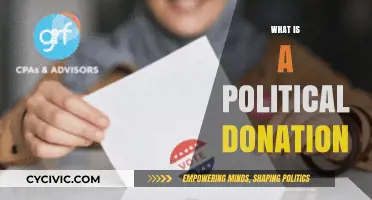 Understanding Political Donations: Impact, Rules, and Transparency Explained