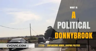 Understanding the Chaotic World of Political Donnybrooks: A Comprehensive Guide