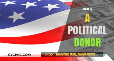 Understanding Political Donors: Influence, Funding, and Campaign Contributions Explained