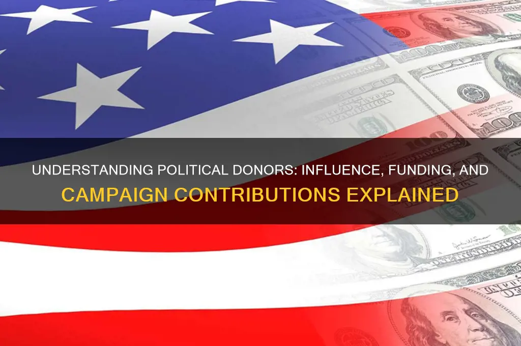 what is a political donor
