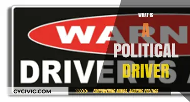 Understanding Political Drivers: Key Forces Shaping Policies and Decisions