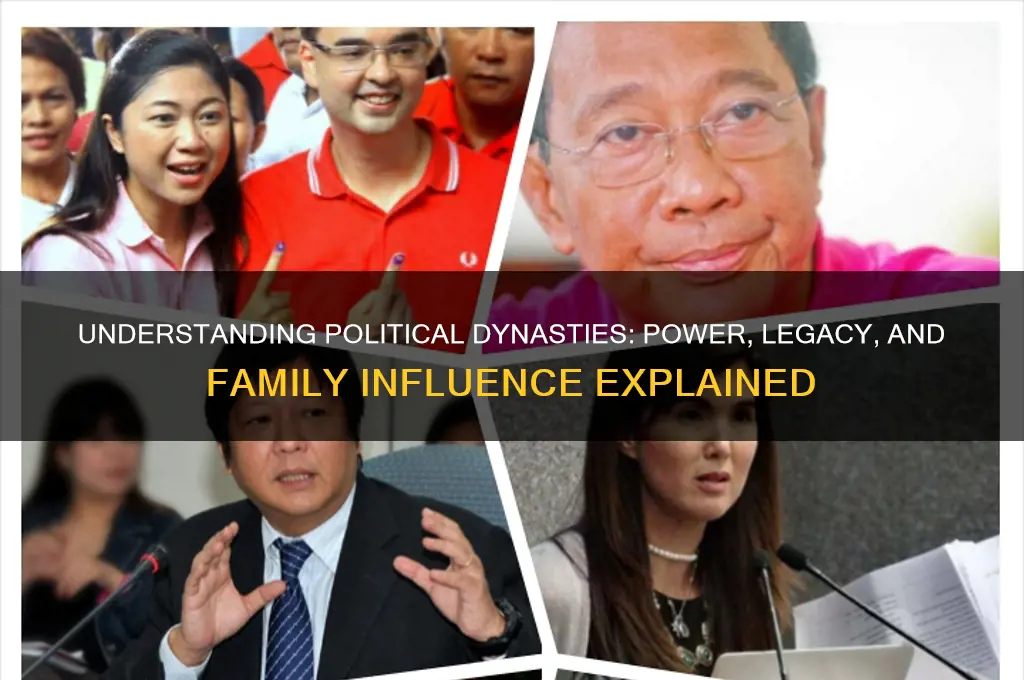 what is a political dynasty
