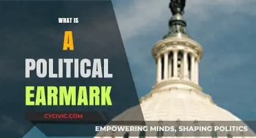 Understanding Political Earmarks: Definition, Purpose, and Impact Explained