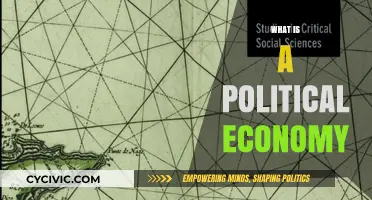 Understanding Political Economy: Power, Resources, and Societal Structures Explained