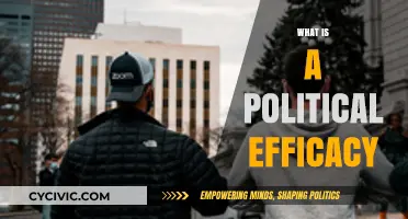 Understanding Political Efficacy: Empowering Citizens in Democratic Engagement