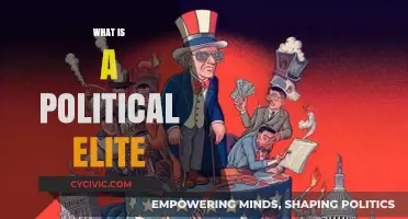 Understanding the Role and Influence of Political Elites in Society