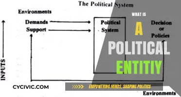 Understanding Political Entities: Definitions, Roles, and Global Impact Explained