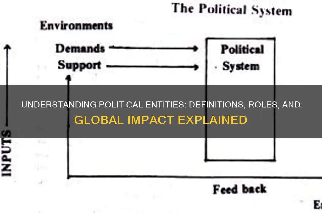 what is a political entitiy