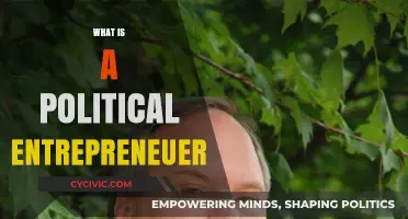 Understanding the Role of a Political Entrepreneur in Modern Politics