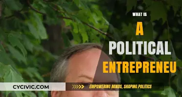 Understanding the Role of a Political Entrepreneur in Modern Society