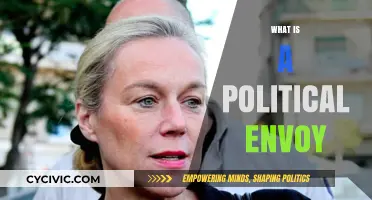Understanding the Role and Impact of a Political Envoy