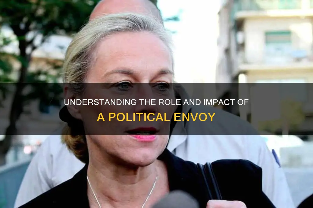 what is a political envoy