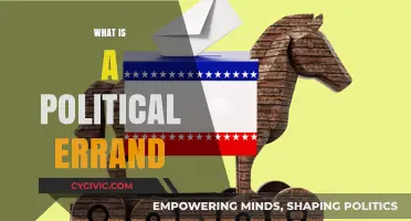 Understanding the Role and Impact of Political Errands in Governance