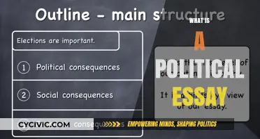 Understanding Political Essays: Purpose, Structure, and Impact Explained