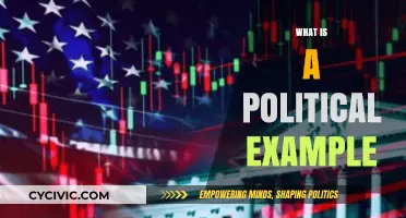 Understanding Political Examples: Real-World Scenarios and Their Impact