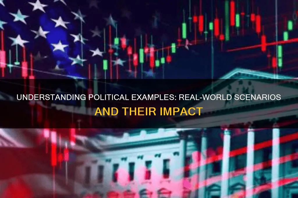 what is a political example