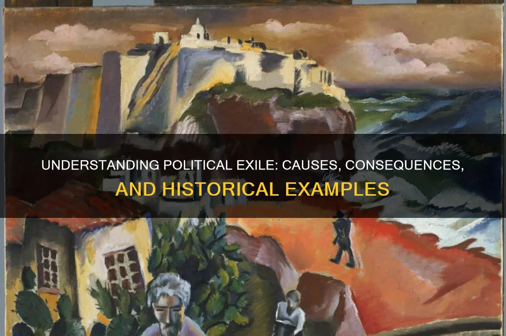 what is a political exile
