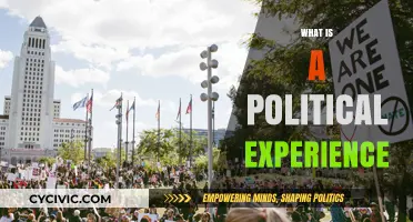 Understanding Political Experience: Shaping Public Policy and Civic Engagement