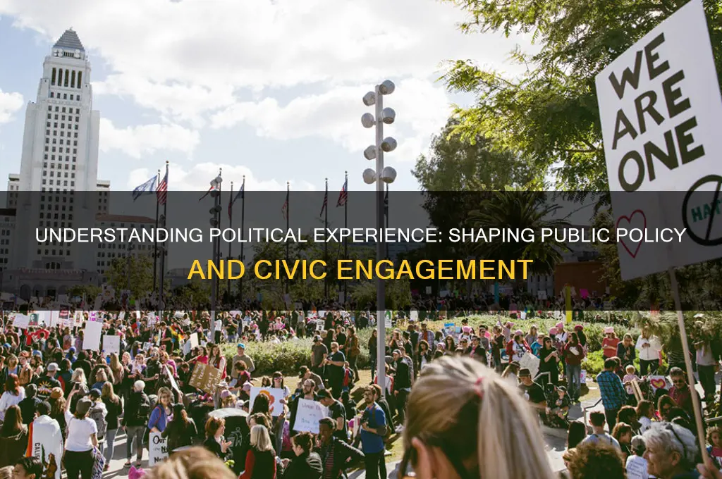 what is a political experience