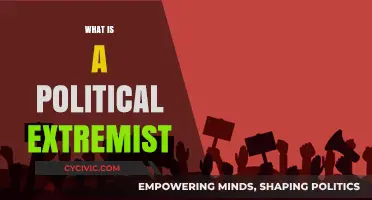 Understanding Political Extremism: Definitions, Causes, and Societal Impacts