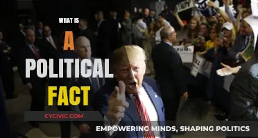 Understanding Political Facts: Defining Truth in a Complex Political Landscape