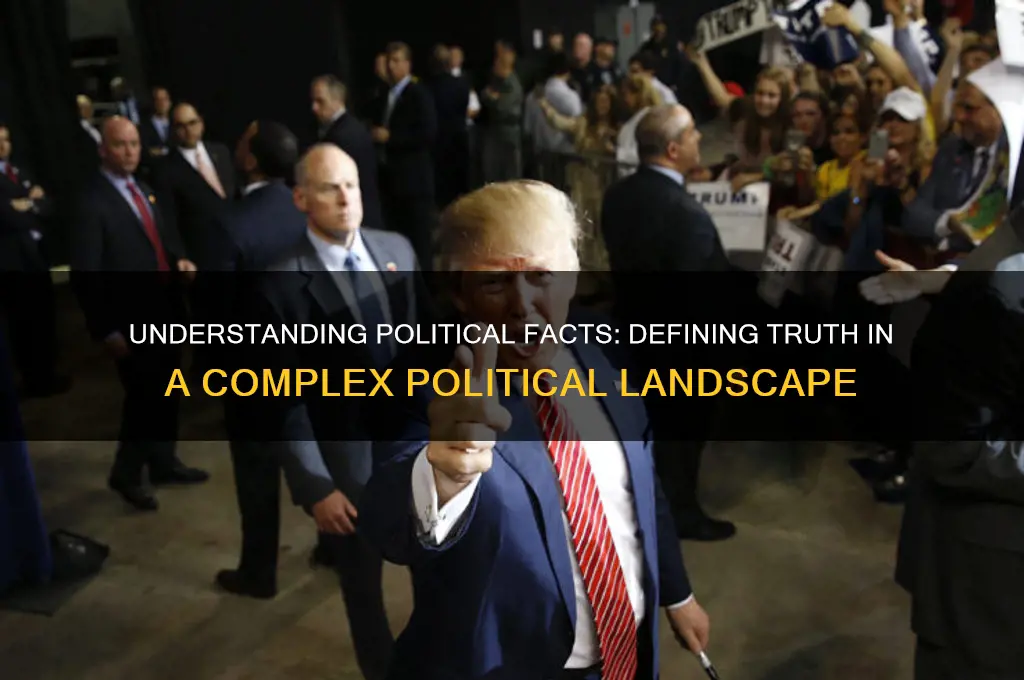 what is a political fact