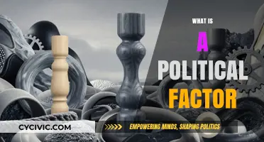Understanding Political Factors: Key Drivers Shaping Policies and Societies