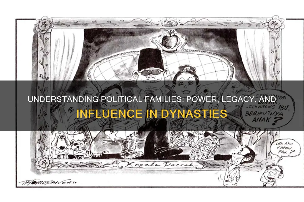 what is a political family