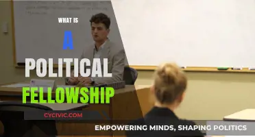 Understanding Political Fellowships: Roles, Impact, and Career Opportunities