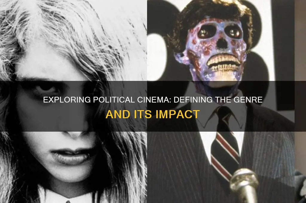 what is a political film