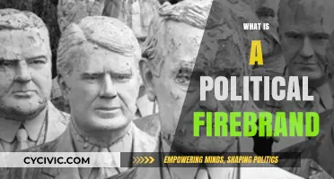 Understanding Political Firebrands: Passionate Leaders or Divisive Figures?