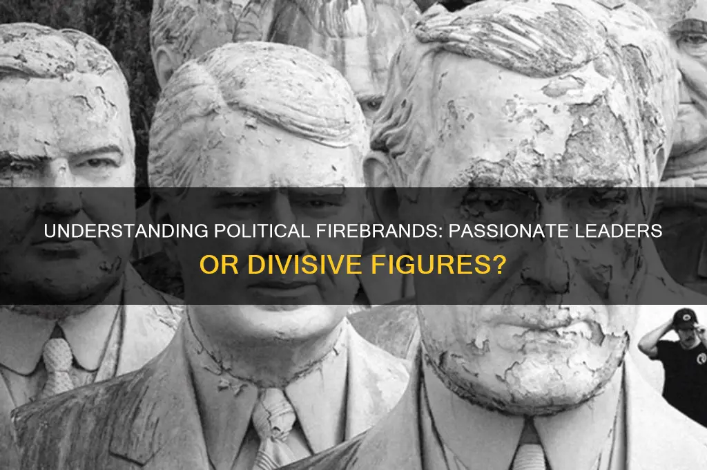 what is a political firebrand