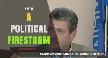 Understanding Political Firestorms: Causes, Impact, and How They Shape Nations