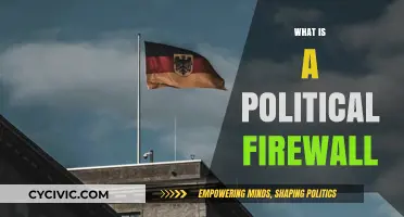 Understanding Political Firewalls: Safeguarding Democracy from External Influence