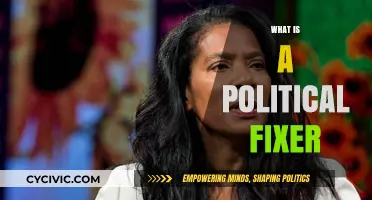 Unveiling the Role of Political Fixers: Power, Influence, and Strategy