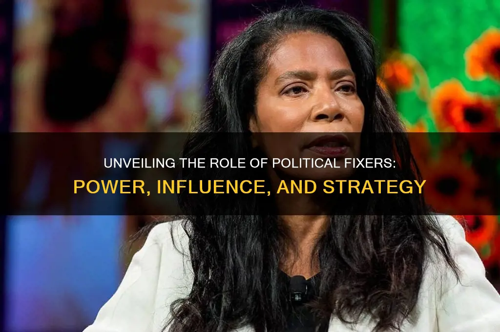 what is a political fixer