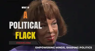 Understanding the Role of a Political Flack in Modern Politics