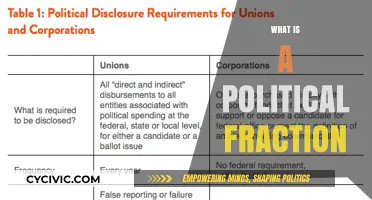 Understanding Political Fractions: Definitions, Roles, and Impact on Governance