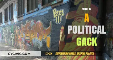 Understanding the Political Gack: Origins, Impact, and Real-World Examples