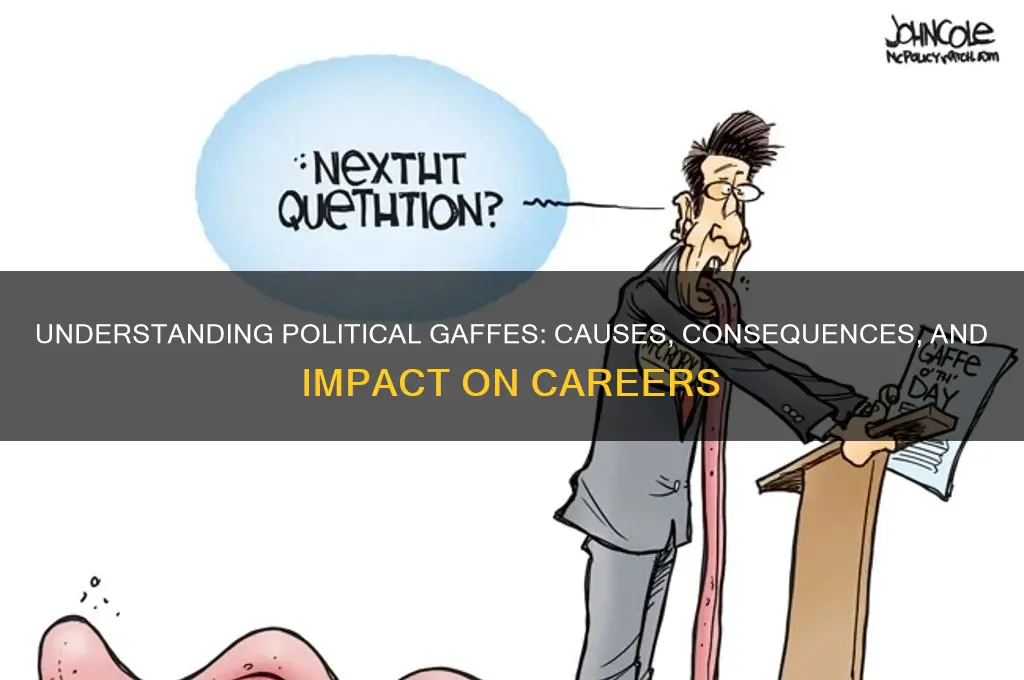 what is a political gaffe