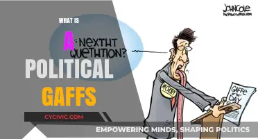 Understanding Political Gaffes: Causes, Consequences, and Impact on Public Perception