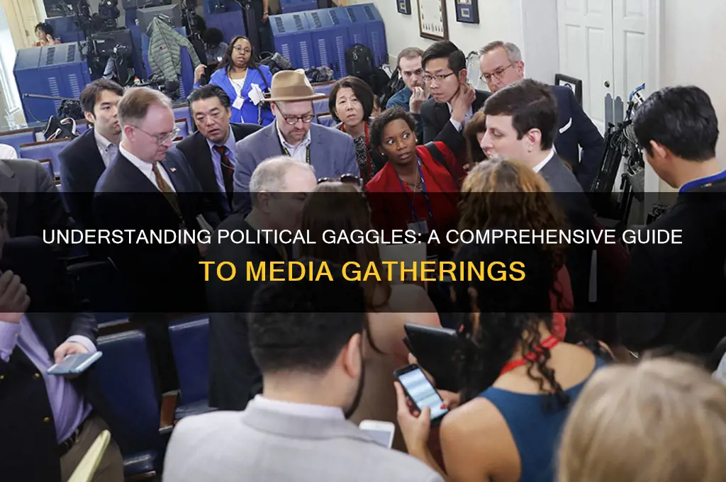 what is a political gaggle