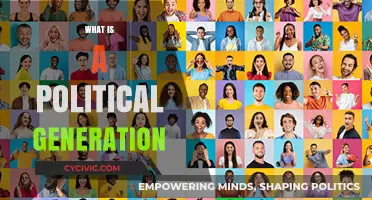 Understanding Political Generations: Shaping Societies Through Shared Experiences and Values