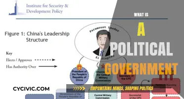 Understanding Political Governments: Structures, Functions, and Global Impact