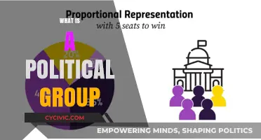 Understanding Political Groups: Definitions, Roles, and Global Impact Explained