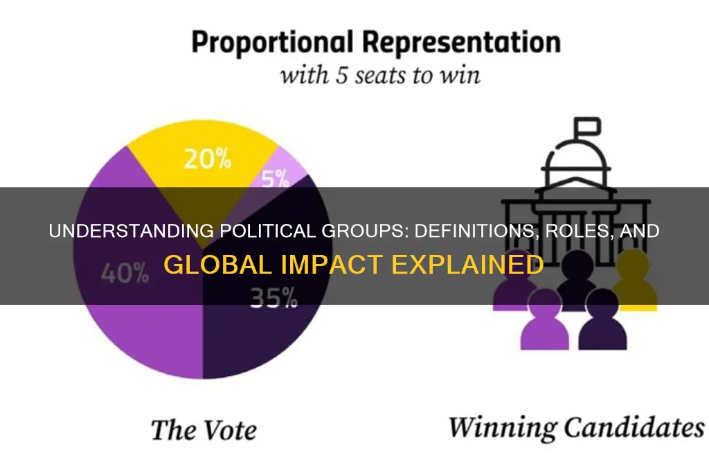 what is a political group