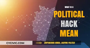 Decoding the Term "Political Hack": An In-Depth Explanation