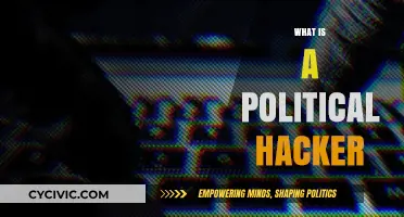 Unveiling the Political Hacker: Tactics, Motives, and Global Impact