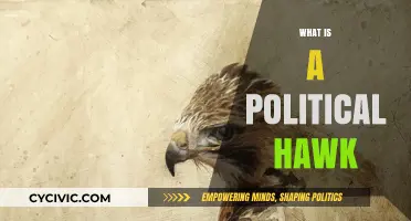 Understanding Political Hawks: Aggressive Foreign Policy Advocates Explained