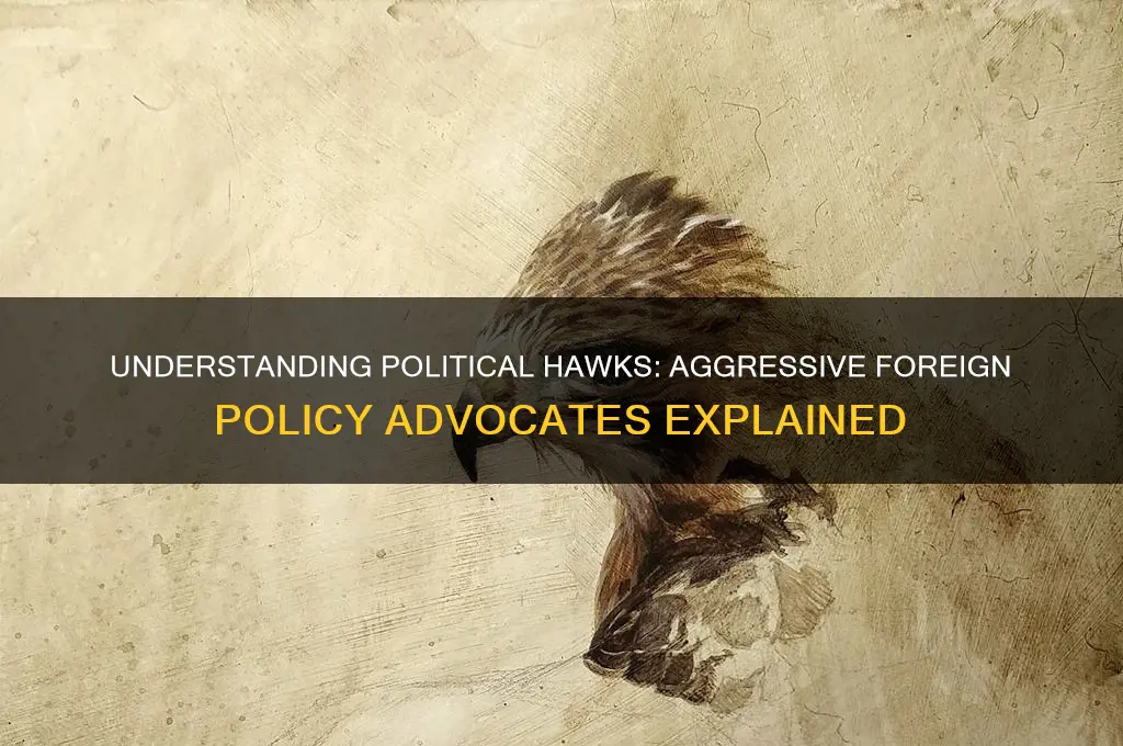 what is a political hawk